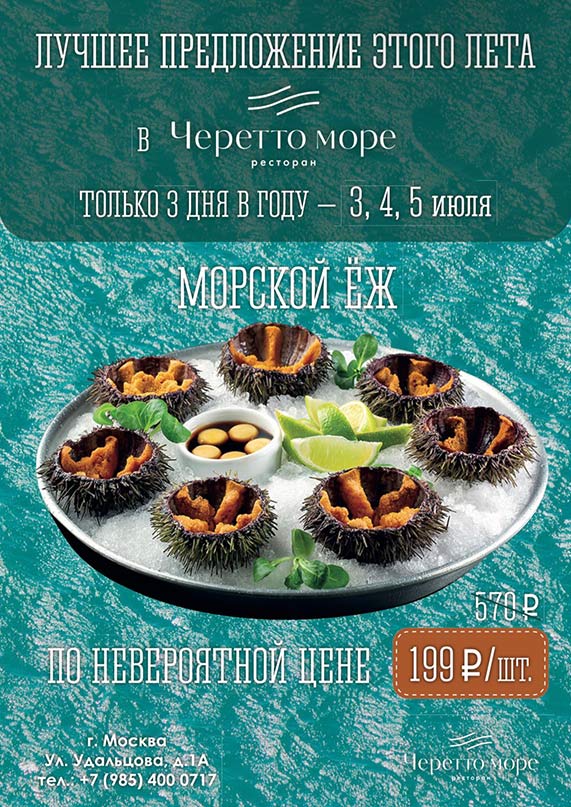 Морской ёж